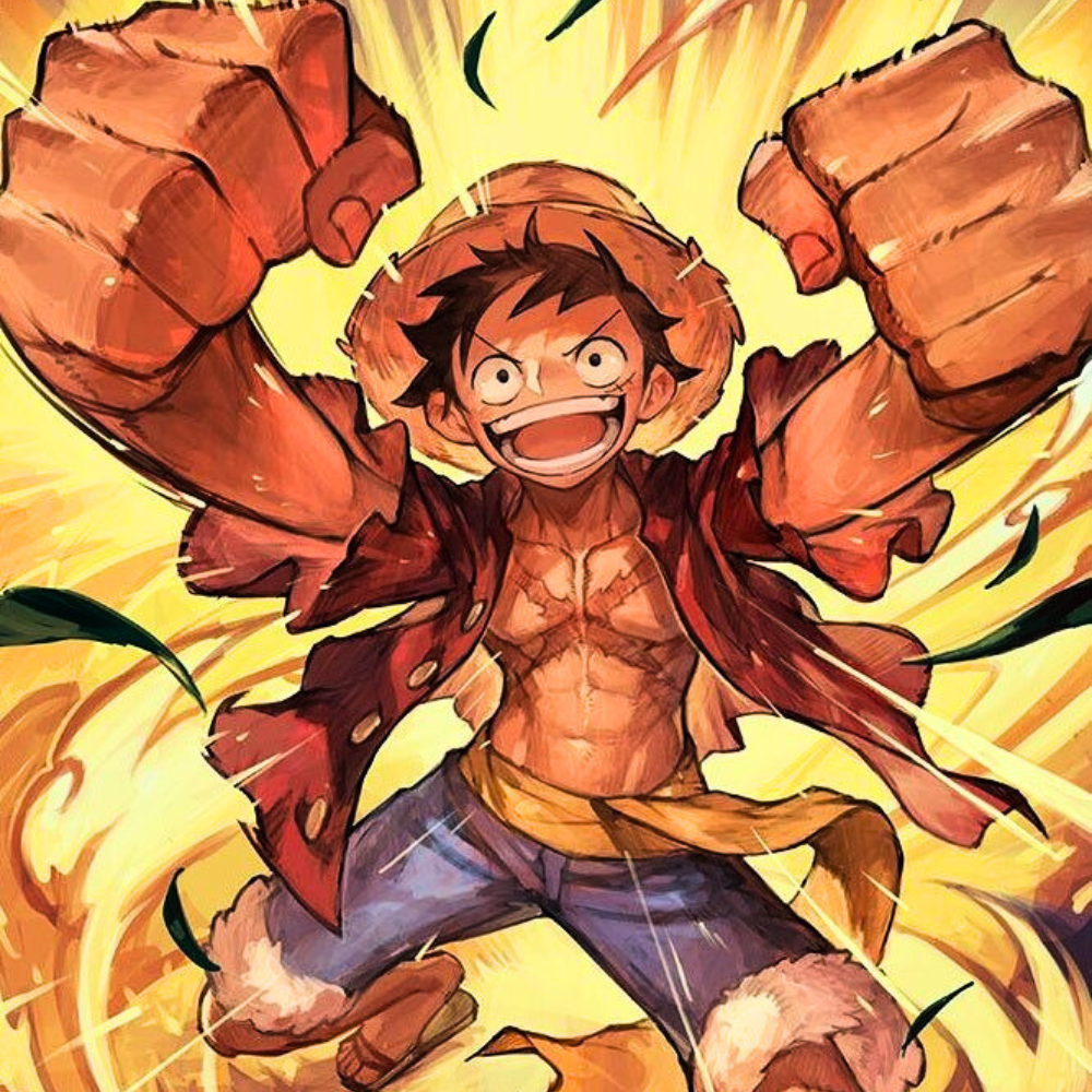 One Piece Premium Booster