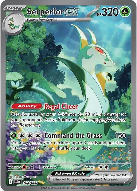 Serperior ex 164 Black Bolt (Special Illustration Rare)