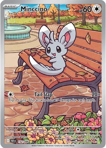 Minccino 152