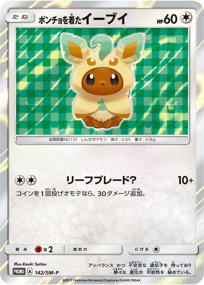 Poncho wearing Eevee 142