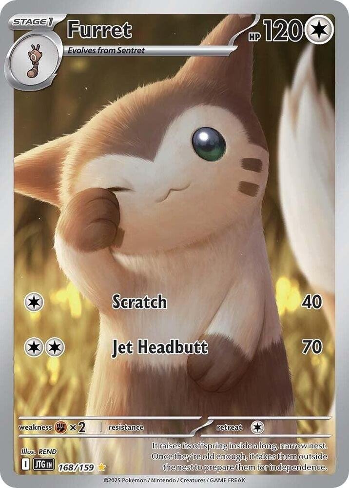 Furret 168