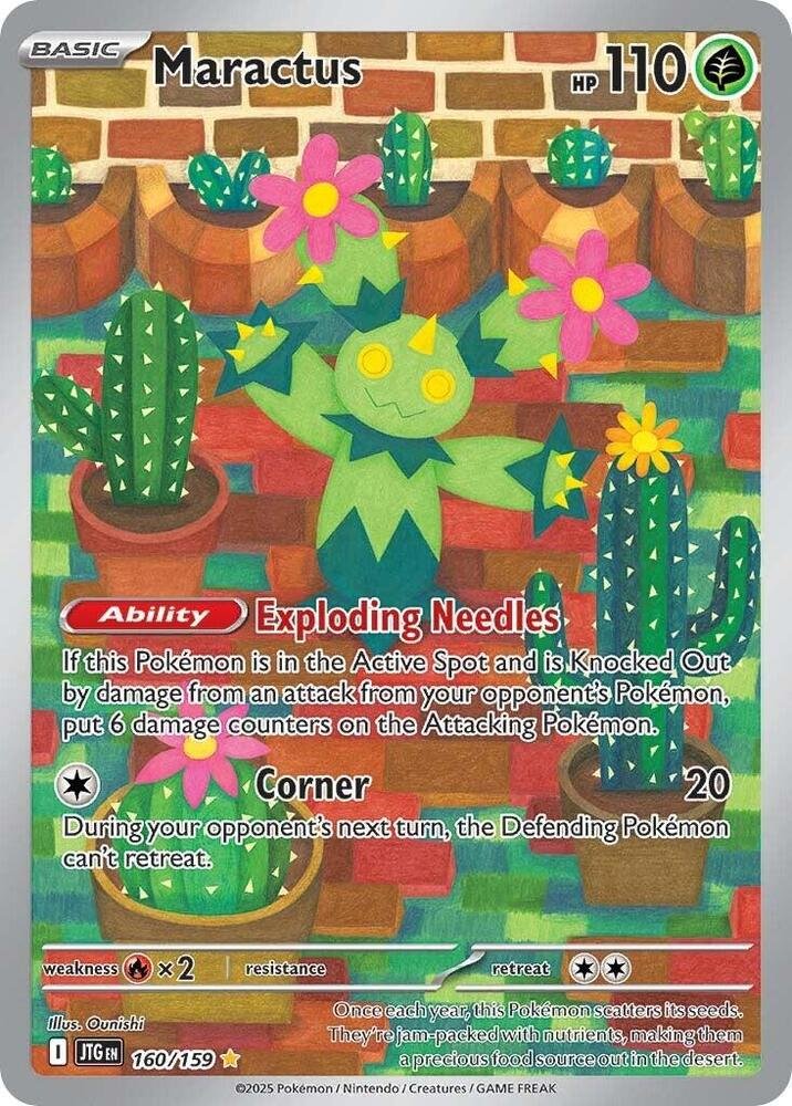 Maractus 160